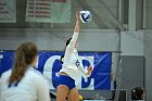 VB vs Salve  Wheaton Women’s Volleyball vs Salve Regina University. : volleyball